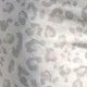 彩色