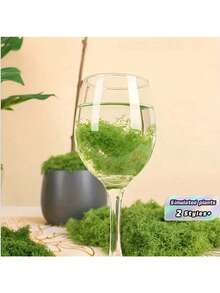 1pc 100g Artificial Moss Suitable For Home Decoration, Miniature Landscape Arrangements, Lawn Miniatures, Potted Plants, And Landscaping Decoration Valentine's Day, Valentines Wedding, Birthday - Green - View 7