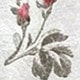 Nhiều màu