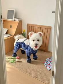 1件宠物秋冬四脚鞋，防污防虫裤，泰迪/贵宾犬适用，防滑荧光服装 - 黃色 - 查看 15