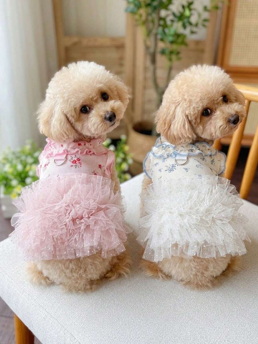 1 pieza Nuevo vestido de verano de seda de hielo con estampado para mascotas, falda esponjosa para perros Teddy Bichon y gatos - Multicolor - Ver 1