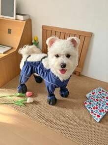1件宠物秋冬四脚鞋，防污防虫裤，泰迪/贵宾犬适用，防滑荧光服装 - 黃色 - 查看 17