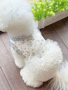 1 pieza Nuevo vestido de verano de seda de hielo con estampado para mascotas, falda esponjosa para perros Teddy Bichon y gatos - Multicolor - Ver 15