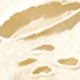 Albaricoque