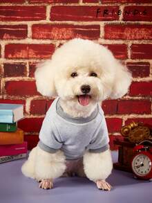FRIENDS X 1pc Afternoon Tea Coffee Love Printed Pet Grey Thick Warm Pet Clothes No Hat - Grey - View 7