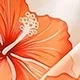 珊瑚橙