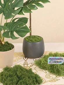 SHEIN 10/30/200g 人造苔藓装饰 - 逼真的绿叶 - 包装 - 非常适合微景观、窗户装饰和设计布局、人造苔藓仿生人造苔藓、绿色苔藓微景观装饰、DIY 绿色植物草坪盆栽铺路景观装饰、户外花园庭院装饰 - 彩色 - 查看 6