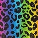 Multicolor