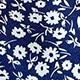 Blue and White