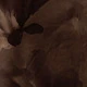 متعدد الألوان