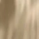 Màu Khaki