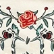 Albaricoque