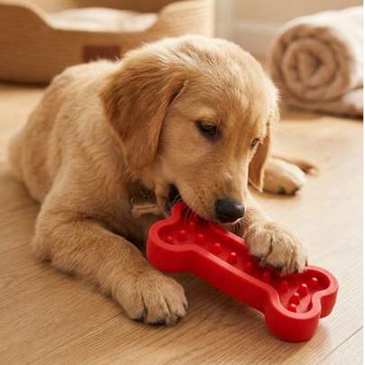 PETSIN 1 Đồ chơi xương cho chó mới - Đồ chơi TPR cho thú cưng. Thích hợp để gặm, mài răng và làm sạch răng.