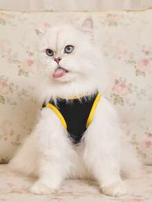 BATMAN X SHEIN 1 件图案印花宠物背心，猫咪衣服，狗狗衣服，尺码 XXS-XXXXL，特小号，特大号，带标志，酷炫。 - 黑色 - 查看 7