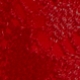 Đỏ