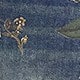 中等水洗藍