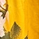 Mustard Yellow