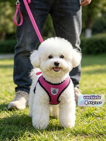 Pet Leash And Harness Set, Comfortable Breathable With Reflective Strips, Mesh Design Lightweight Non-Choke Adjustable Leash And Harness Set For Medium & Small Dogs And Cats (Actual Product May Run Small, Please Order One Size Up