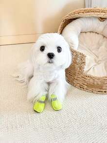 PETSIN Pet Dog Shoes Summer Breathable Mesh Sandals Non-Slip Wear-Resistant Non-Falling Mesh Hollow-Out Breathable Shoes Pet Supplies - Multicolor - View 7