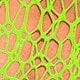 Lime Green