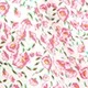 Watermelon Pink