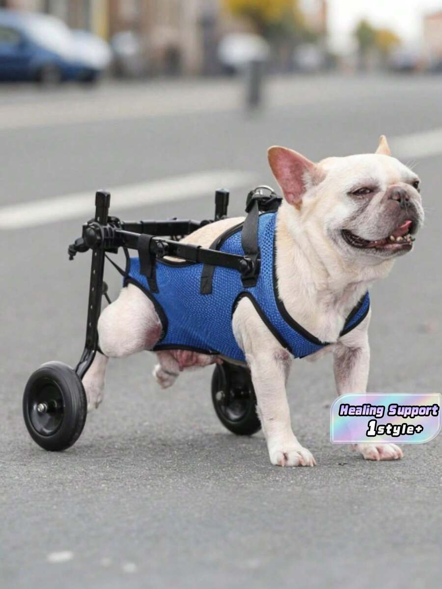 1PC Adjustable Lightweight Durable Pet Dog Wheelchair Mobility Aid With Rear Leg Support For Small Dogs Injury Recovery Indoor Outdoor All Season Rehabilitation Assistant Walking Aid - Multicolor - View 1