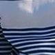 azul real
