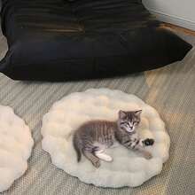 1pc Pet Sleeping Mat, Winter Pet Blanket, Dog Pad, Cat Pad, Cat Sleeping Mat, Pet Dedicated Floor Mat - White - View 13