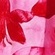 Hồng