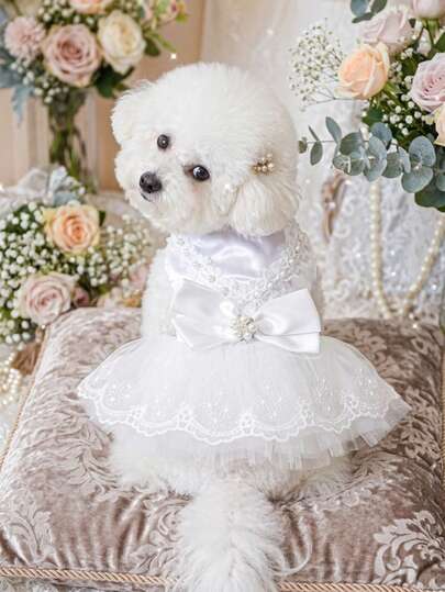 PETSIN 1pc Cat And Dog Universal Clothes, Luxurious White Satin Pet Wedding Dress Princess Style Lace Mesh Fluffy Small Dog Dress