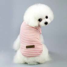宠物春季新款狗狗服装 动物用品 宠物服装 狗狗背心 猫咪T恤 泰迪熊套装 小型动物服装 休闲酷炫背心 狗狗服装 猫咪服装 春夏两季新款背心 - 彩色 - 查看 27