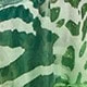 verde menta