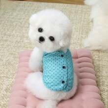 PETSIN 宠物春季新款狗狗服装 动物用品 宠物服装 狗狗背心 猫咪T恤 泰迪熊套装 小型动物服装 休闲酷炫背心 狗狗服装 猫咪服装 春夏两季新款背心 - 彩色 - 查看 34