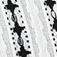 Blanco y Negro