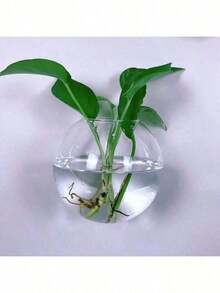 2/4 pièces Terrarium mural en verre, pot de plante hydroponique auto-arrosant, vase en cristal transparent fait main rond pour décoration de maison et bureau, vase à fleurs suspendu minimaliste moderne pour décoration murale et affichage de verdure d'intérieur - multicolore - Voir 14