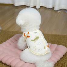 宠物春季新款狗狗服装 动物用品 宠物服装 狗狗背心 猫咪T恤 泰迪熊套装 小型动物服装 休闲酷炫背心 狗狗服装 猫咪服装 春夏两季新款背心 - 彩色 - 查看 21