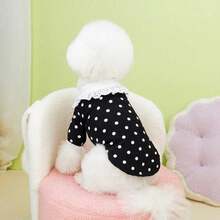 PETSIN 宠物春季新款狗狗服装 动物用品 宠物服装 狗狗背心 猫咪T恤 泰迪熊套装 小型动物服装 休闲酷炫背心 狗狗服装 猫咪服装 春夏两季新款背心 - 彩色 - 查看 16