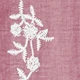 Dusty Pink