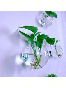 2/4 pièces Terrarium mural en verre, pot de plante hydroponique auto-arrosant, vase en cristal transparent fait main rond pour décoration de maison et bureau, vase à fleurs suspendu minimaliste moderne pour décoration murale et affichage de verdure d'intérieur - multicolore - Voir 12