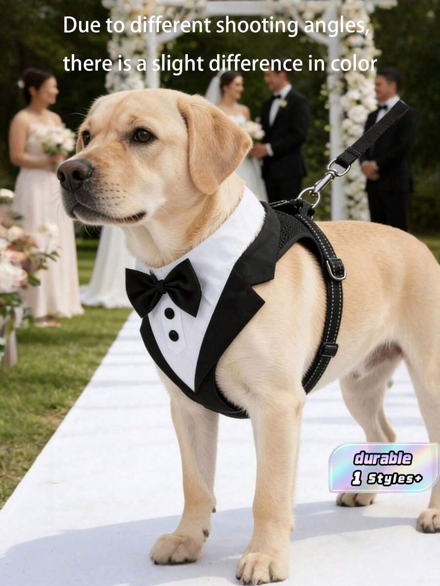Abbigliamento per cani domestici, completo, cravatta, set cravatta, adatto per cani di piccola e media taglia e per occasioni formali - Bianco e nero - Visualizzare 1