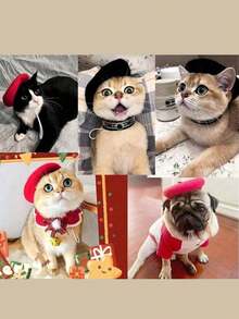 宠物服装配饰，猫狗画家贝雷帽，适合拍照 - 彩色 - 查看 10