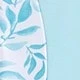 Blue and White