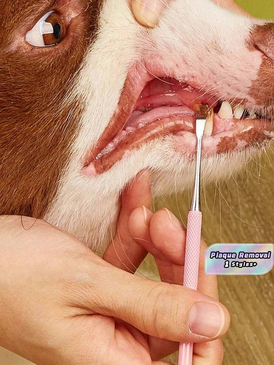 1 件装双头宠物口腔清洁工具宠物洁牙器牙齿清洁工具狗牙菌斑去除器牙齿美白不锈钢 - 銀色 - 查看 1