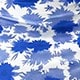 Blue and White