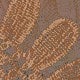 Coffee Brown