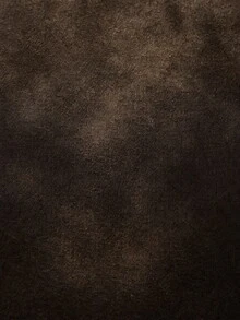 PAVTROS 男士复古水洗圆领短袖T恤 - 棕色 - 查看 6