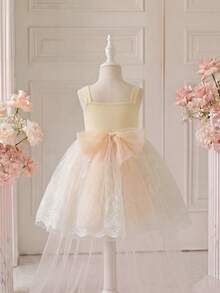 SHEIN Glamorique Kids 女婴公主裙，香槟色薄纱裙，吊带裙，花童，生日派对，婚礼，无袖，刺绣花边，后背蝴蝶结 - 白色 - 查看 6