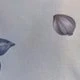 Agua verde azul