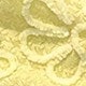 Màu vàng