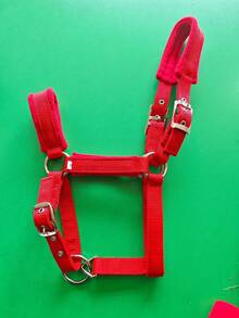 Wear-Resistant Webbing Horse Bridle, Bridle, Equestrian Bridle, Horse Stable Equipment, Horse Walking Leash, Webbing Bridle - Multicolor - View 17